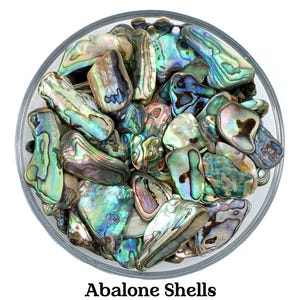 SET OF 5 Abalone Shells, Raw Abalone Shell, Raw Nacre pearl, Мother Of Pearl, White Pearl, Nacre pearl, Mother of pearl shell, Nacre Stones