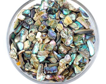 SET OF 50 Abalone Shells, Raw Abalone Shell, Raw Nacre pearl, Мother Of Pearl, White Pearl, Nacre pearl, Mother of pearl shell, Nacre Stones