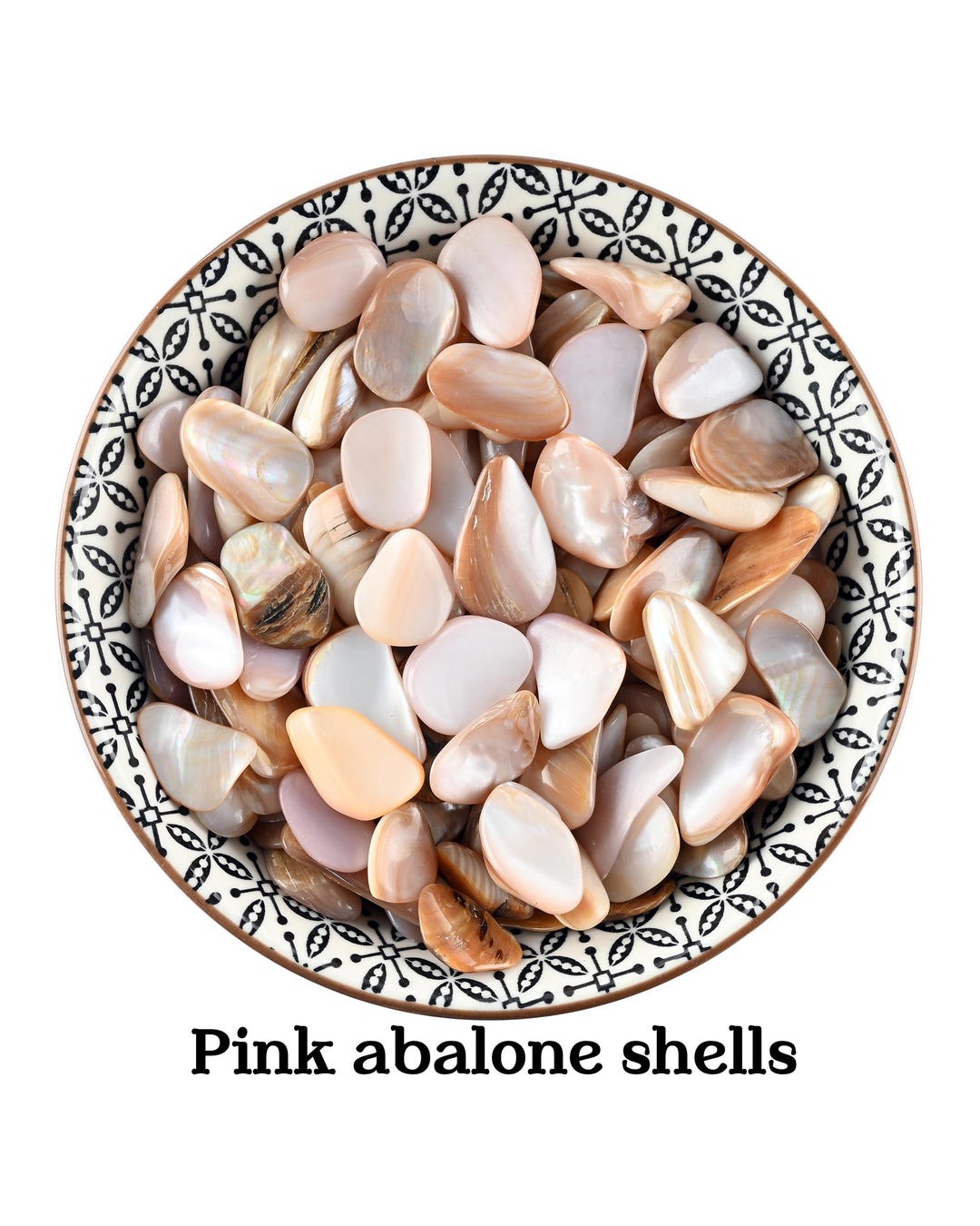 Set of 10 Pink Abalone Shells, Pink Abalone Shells, Zodiac Signs Pisces ...