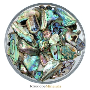Abalone Shell, Shells, Raw Abalone Shell, Raw Nacre Pearl, Мother Of Pearl, White Pearl, Nacre Pearl, Mother Of Pearl Shell, Nacre Stones