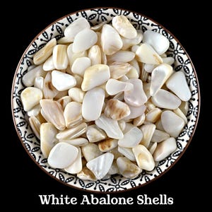 Set mit 100 weißen Abalone-Muscheln, natürliche Muscheln für Handwerk, Hochzeit und Verräucherung