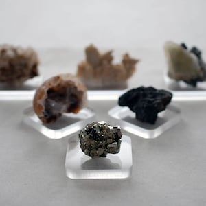 Könnte beinhalten: Sechs kleine Mineralproben, die auf klaren Acrylsockeln präsentiert werden. Die Mineralien umfassen einen braunen Achat, einen weißen Calcit, einen grauen Pyrit, einen schwarzen Hämatit und zwei weiße Quarzkristalle.