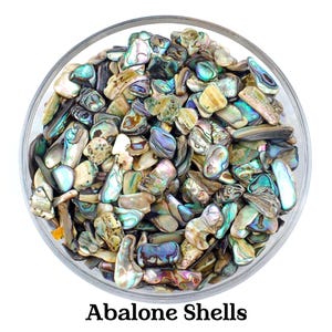 Set von 200 rosa Abalone Muscheln, Ritual Versorgung, Herz Chakra Dekor