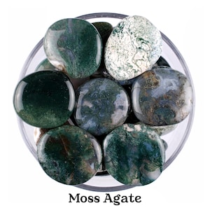 Moss Agate Palm Stone, Natural Forest Garden Crystal, Abundance And Altar Ritual Gem image 1