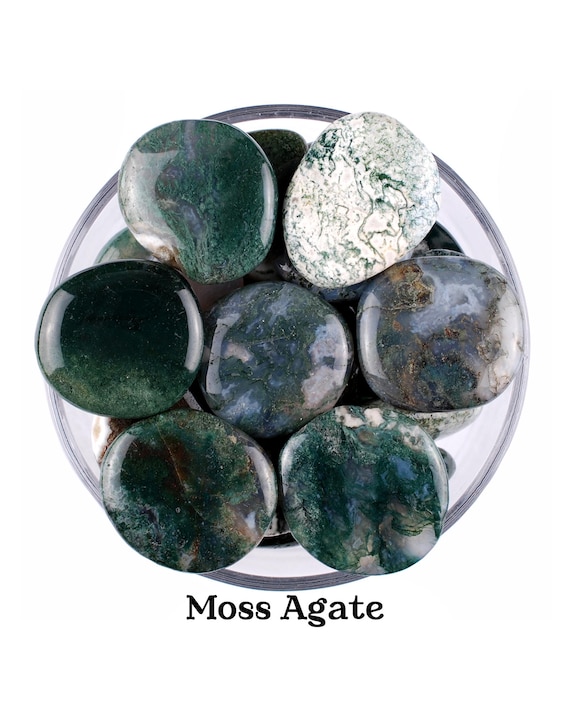 Moss Agate Palm Stone, Natural Forest Garden Crystal, Abundance And Altar Ritual Gem
