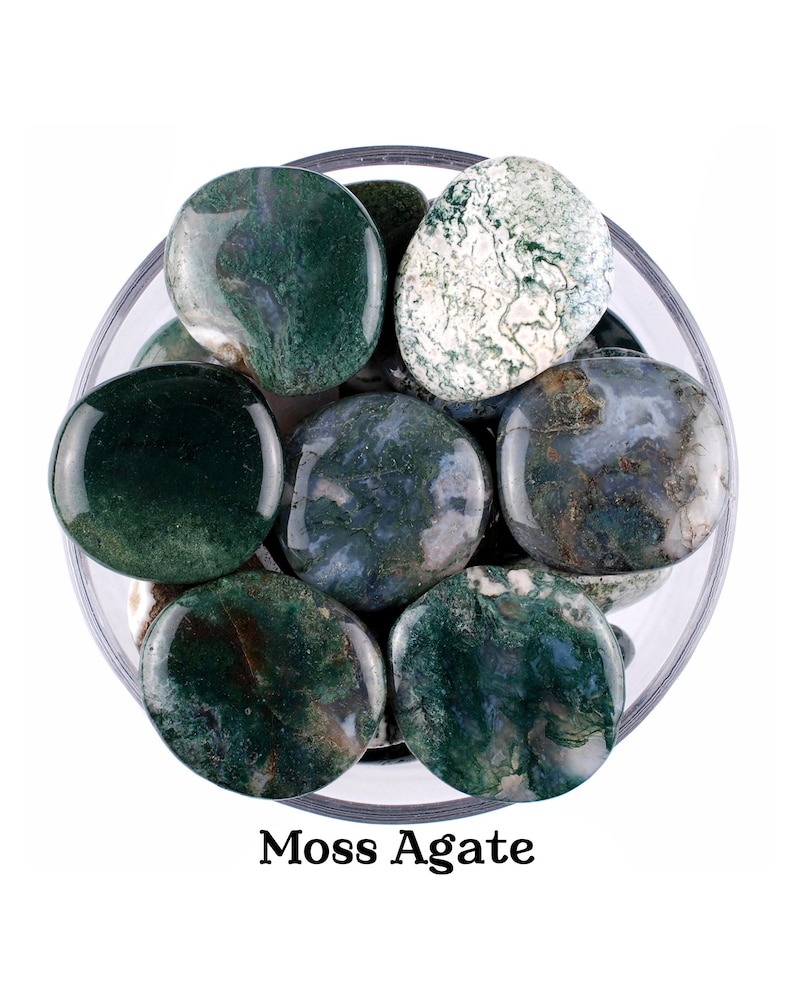 Moss Agate Palm Stone, Natural Forest Garden Crystal, Abundance And Altar Ritual Gem image 1