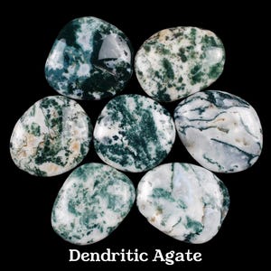 Dendritic Agate Palm Stone, Natural Fern Crystal, Abundance And Altar Ritual Healing Gem image 1