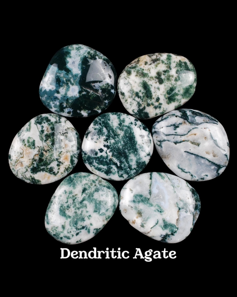 Dendritic Agate Palm Stone, Natural Fern Crystal, Abundance And Altar Ritual Healing Gem image 1