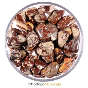Printstone Zebra Jasper Tumbled Stone, Zebra Jasper, Tumbled Stones, Stones, Crystals, Rocks, Gifts, Wedding Favors, Gemstones, Gems, Zodiac