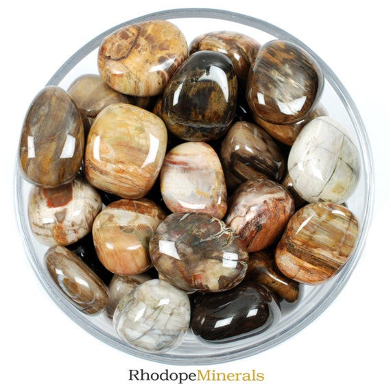 Petrified Wood Tumbled Stone, Petrified Wood, Tumbled Stones, Stones, Crystals, Rocks, Gifts, Gemstones, Gems, Zodiac Crystals, Healing