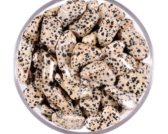 Dalmatian Jasper Tumbled Stone, Joy, Loyalty And Emotional Balance, Root Chakra Protection Crystal