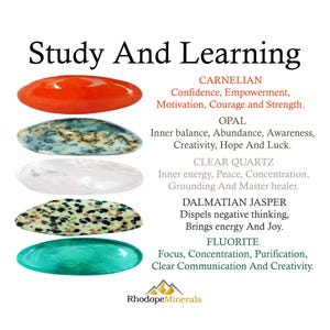 Peut inclure: Image intitulée "Étude et apprentissage" présentant cinq pierres précieuses polies : cornaline, opale, quartz clair, jaspe dalmatien et fluorite. Chaque pierre est étiquetée avec son nom et ses propriétés associées.