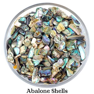 Set von 10 Abalone Muscheln, Massengroßhandel, Räucherschale, Ozeanenergie und Reinigungsstein, Wasser-Element-Altar-Werkzeug-Geschenk für Krebs-Fische