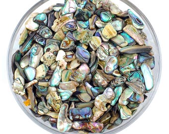Set of 10 Abalone Shells, Bulk Wholesale, Smudging Dish, Ocean Energy And Cleansing Stone, Water Element Altar Tool Gift For Cancer Pisces