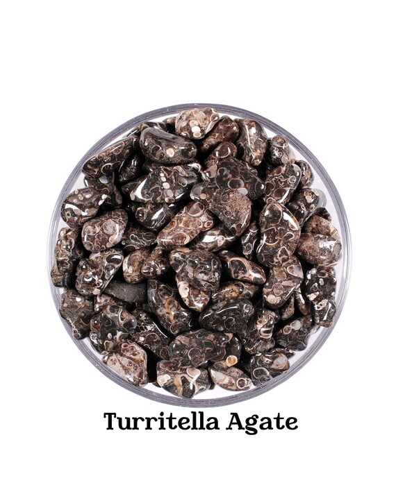 Set Of 10 Turritella Agate Tumbled Stones, Fossil Snail Crystals, Ancestral & Altar Ritual Gem