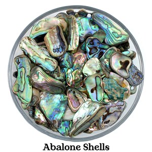 SET OF 10 Abalone Shells, Shells, Raw Abalone Shell, Raw Nacre Pearl, Мother Of Pearl, White Pearl, Nacre Pearl, Mother Of Pearl Shell