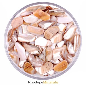 Set Of 10 Pink Mother Of Pearls, Mother Of Pearl, Abalone Shells, Abalone Shell, Shells, Raw Abalone Shell, Raw Nacre Pearl, Nacre Pearl