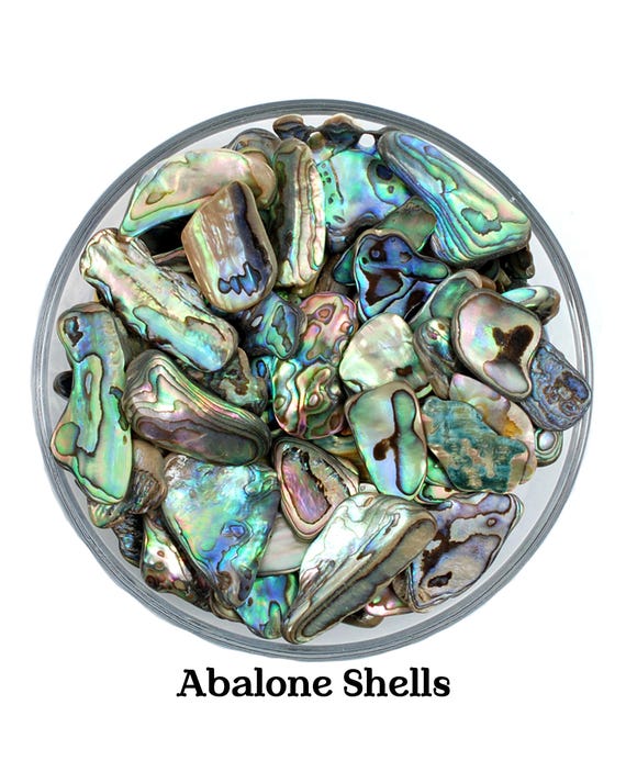 Abalone Shell Vessel, Smudging And Cleansing, Heart Chakra Ritual Tool