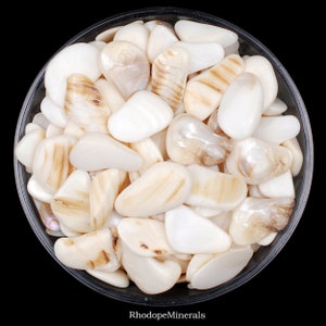 Set Of 5 White Mother Of Pearls, Mother Of Pearl, Abalone Shells, Abalone Shell, Shells, Raw Abalone Shell, Raw Nacre Pearl, Nacre Pearl