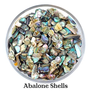 SET aus 100 Abalone-Muscheln, rohe Abalone-Muschel, rohe Perlmuttperle, Мother Der Perle, weiße Perle, Perlmuttperle, Perlmuttmuschel, Perlmuttstein