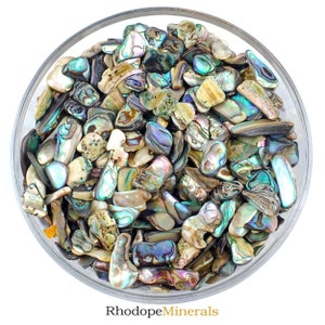SET OF 200 Abalone Shells, Raw Abalone Shell, Raw Nacre pearl, Мother Of Pearl, White Pearl, Nacre pearl, Mother of pearl shell, Nacre Stone