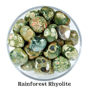 Rainforest Rhyolite Tumbled Stone, Gift For Crystal Lovers, Natural Green Earthy Healing Gemstone image 1