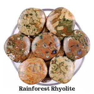 Rainforest Rhyolite Palm Stone, Natural Green Jasper, Nature And Altar Ritual Gem image 1