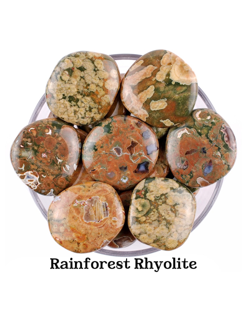 Rainforest Rhyolite Palm Stone, Natural Green Jasper, Nature And Altar Ritual Gem image 1