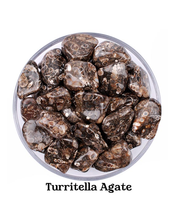 Turritella Agate Tumbled Stone, Fossil Wisdom, Protection Crystal, Natural Gemstone, Past Life Connection, Root Chakra, Metaphysical Gifts