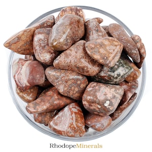Leopard Skin Jasper Tumbled Stone, Leopard Skin Jasper, Tumbled Stones, Jasper, Stones, Crystals, Rocks, Gifts, Gemstones, Gems, Zodiac