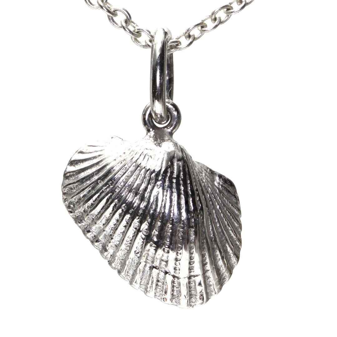 Many Ribbed Ark Shell Cut Ribbed Ark Shell Pendant/charm, Sterling Silver #2516 - Etsy
