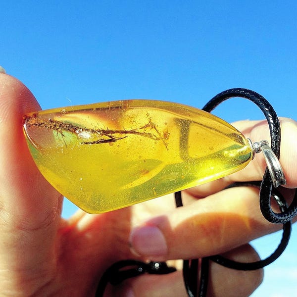 Big Amber Pendant, Sterling Silver, Amber Jewelry, Baltic Amber, Natural Shape Genuine Amber Pendant With Plant Inclusion, Amber Inclusion