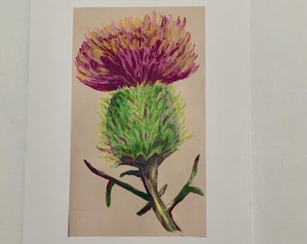 Thistle Art Print/Card