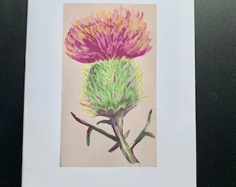 Painted Thistle Blank Note Cards