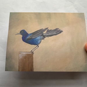 Biglietti d'auguri vuoti con gracchio coda di barca