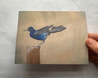 Boat-Tailed Grackle Blank Note Cards