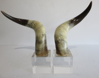Pair Of Hollywood Regency Bull Horns Mounted On Lucite Bases