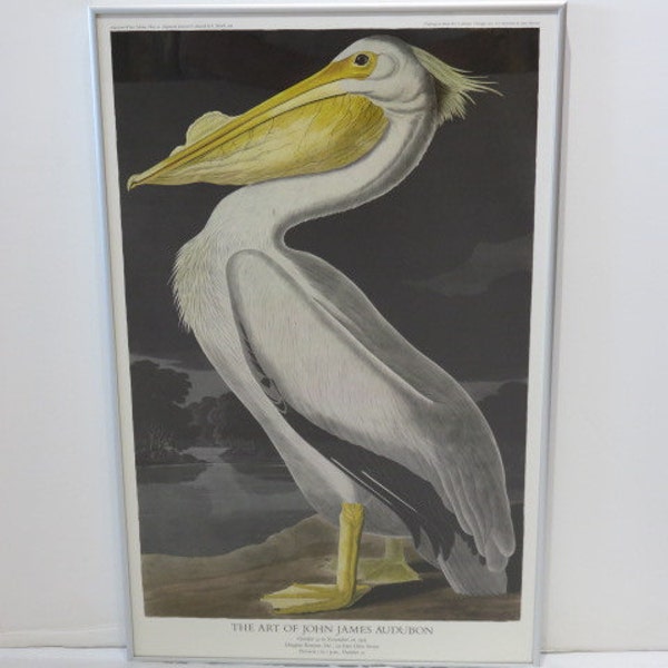 Vintage John James Audubon Poster Of Pelican Mid Century Modern Art