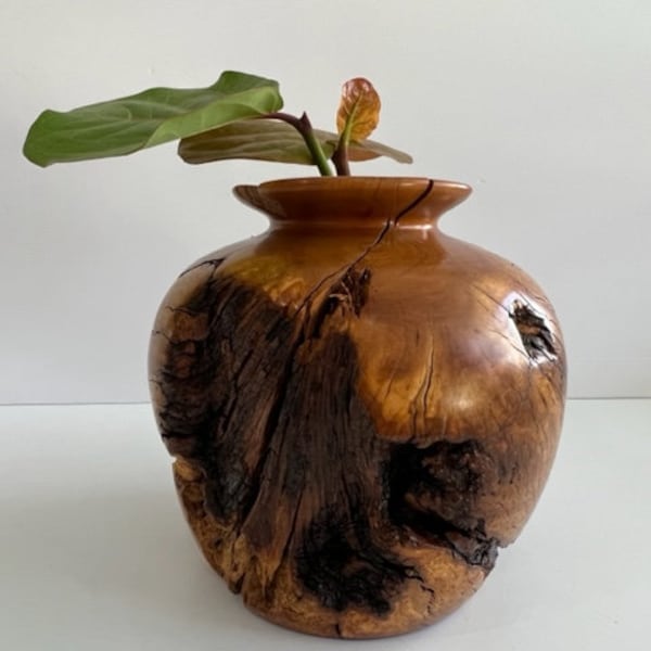 Burl Wood Vessel Mid Century Modern Organic Art Object