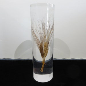 Solid Lucite And Wheat Sculpture Mid Century Modern Art Object