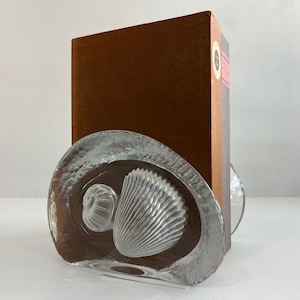 Può includere: Un fermalibri in vetro trasparente con un design a conchiglia. Il fermalibri ha una superficie strutturata e contiene un libro marrone. Il design a conchiglia presenta una grande conchiglia a forma di ventaglio e una conchiglia a spirale più piccola.