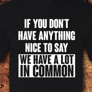 May include: Black t-shirt with white text: "IF YOU DON'T HAVE ANYTHING NICE TO SAY WE HAVE A LOT IN COMMON." The shirt has short sleeves and a crew neck. The MaTees logo is in the bottom right corner.