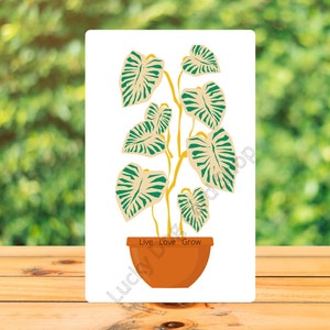 Cartão de aniversário para IMPRIMIR Live Love Grow
