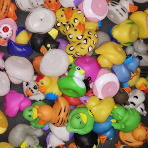 Puede incluir: Una colecci&oacute;n de patos de goma coloridos con varios dise&ntilde;os de animales, incluyendo una cebra, una jirafa, un tigre y un unicornio. Los patos son de varios colores, incluyendo amarillo, naranja, rosa, azul, verde y negro.