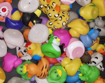 Etiquetas de pato de madera grabadas con láser: Juego de crucero, juego de 10