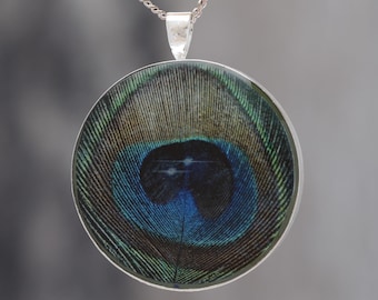 Feathers in Space  - Glow-in-the-dark pendant with a beautiful Peacock feather and star pattern