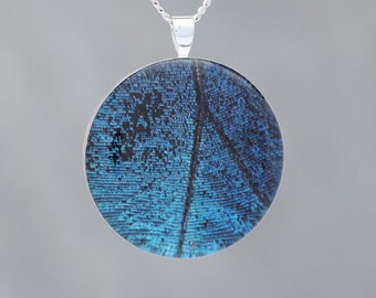 Blue Morpho  - Glow-in-the-dark pendant with an image of a Butterfly's wing- B3
