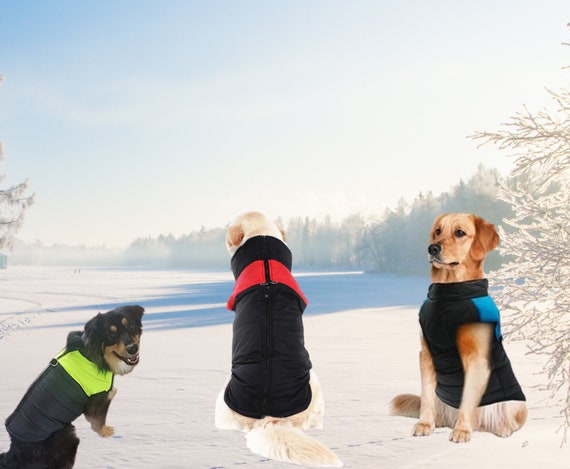 Warm padded waterproof coat 2025
