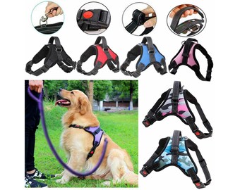 pug for life harness