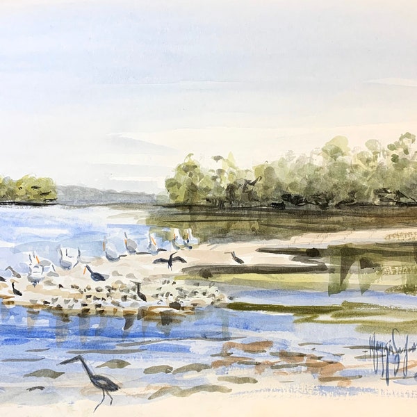 Pelicans at Ding Darling